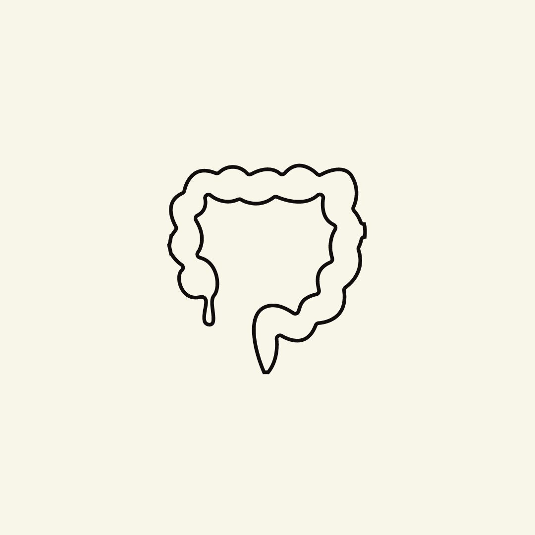 Colon photo